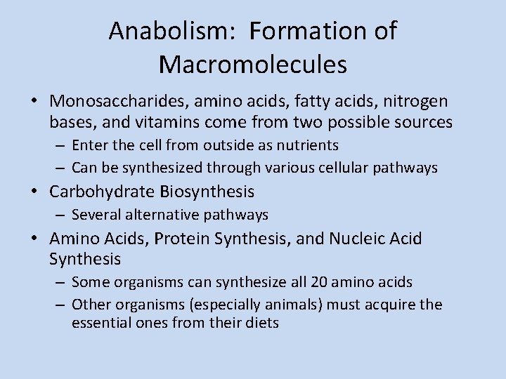 Anabolism: Formation of Macromolecules • Monosaccharides, amino acids, fatty acids, nitrogen bases, and vitamins
