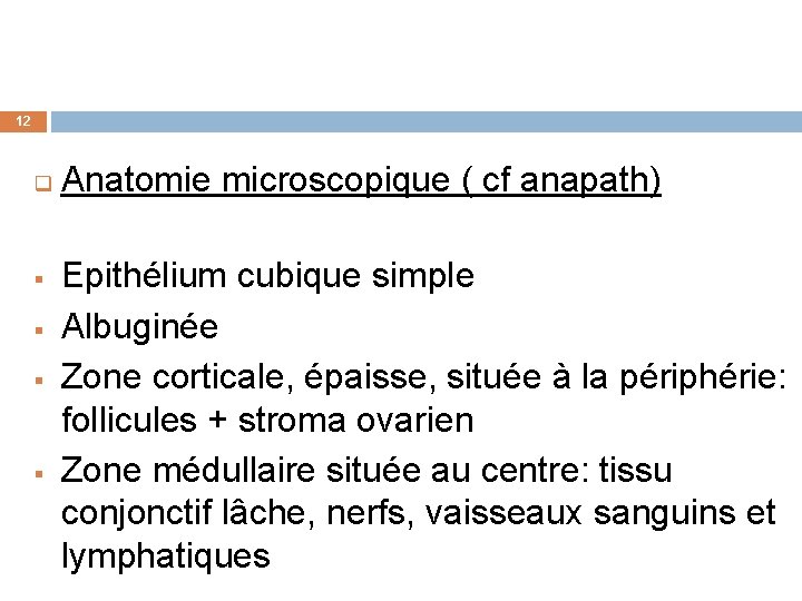 12 q § § Anatomie microscopique ( cf anapath) Epithélium cubique simple Albuginée Zone