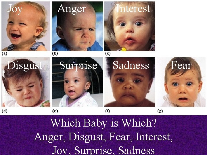 Joy Anger Interest Disgust Surprise Sadness Fear Which Baby is Which? Anger, Disgust, Fear,
