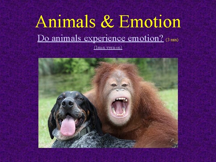 Animals & Emotion Do animals experience emotion? (3 min) (1 min version) 