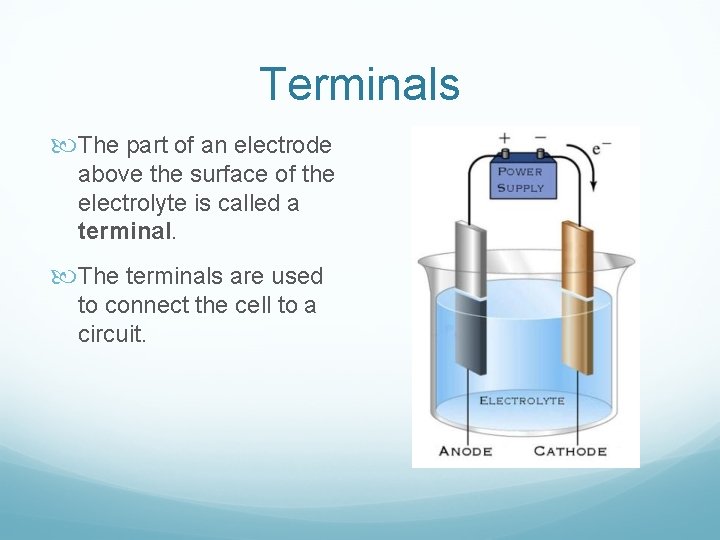 Terminals The part of an electrode above the surface of the electrolyte is called
