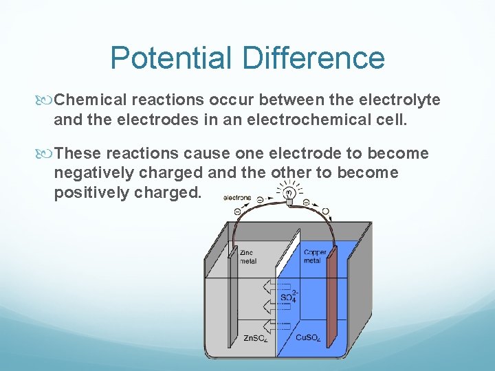 Potential Difference Chemical reactions occur between the electrolyte and the electrodes in an electrochemical
