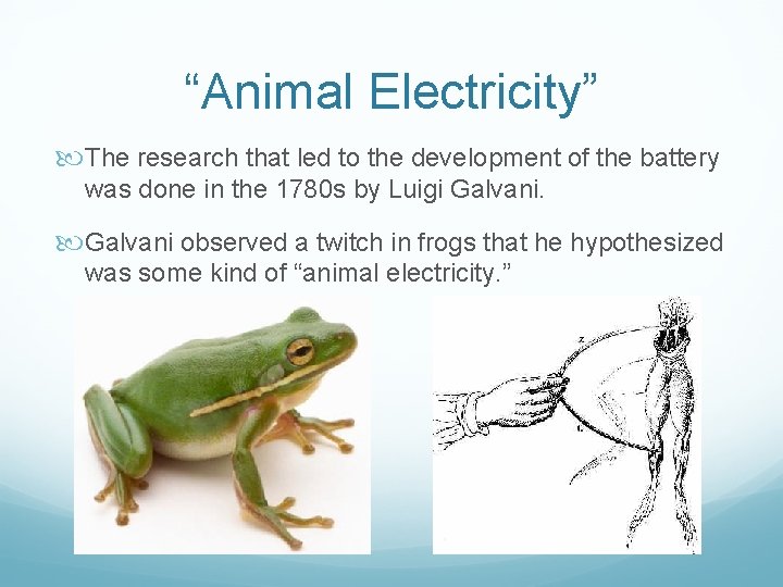 “Animal Electricity” The research that led to the development of the battery was done