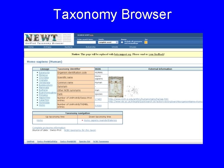 Taxonomy Browser 