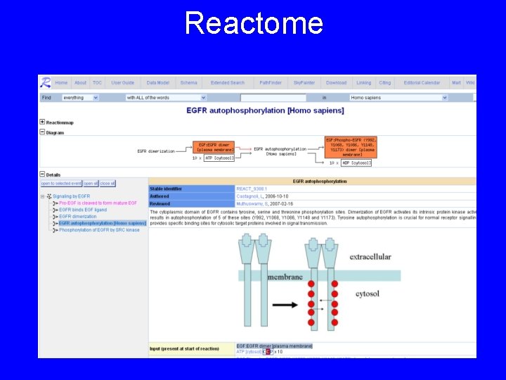 Reactome 