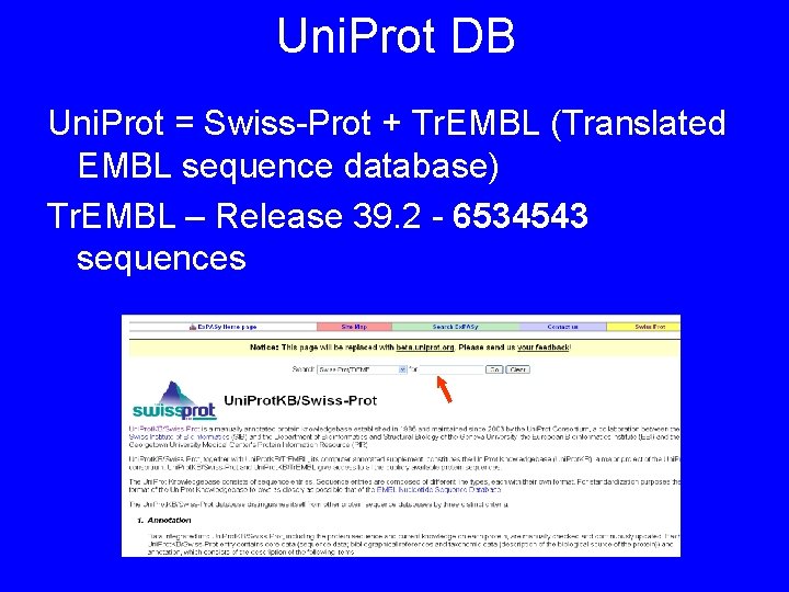 Uni. Prot DB Uni. Prot = Swiss-Prot + Tr. EMBL (Translated EMBL sequence database)