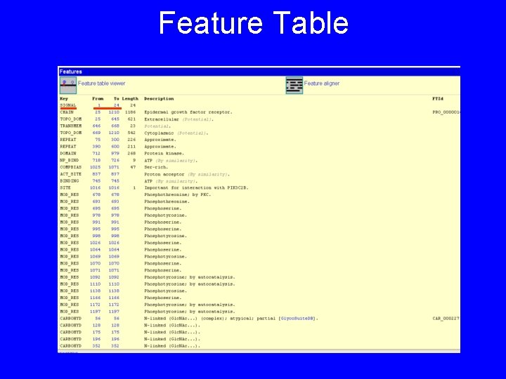 Feature Table 