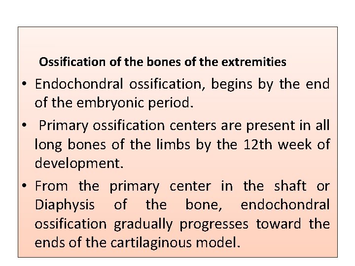 Ossification of the bones of the extremities • Endochondral ossification, begins by the end