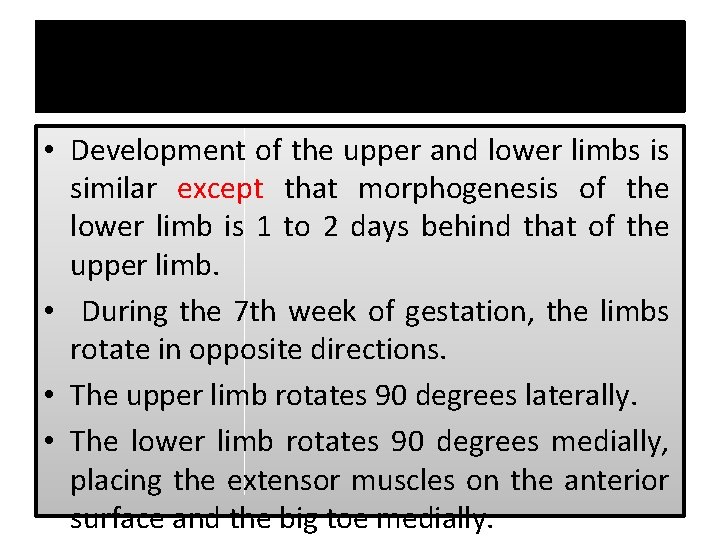 Limbs Rotation • Development of the upper and lower limbs is similar except that