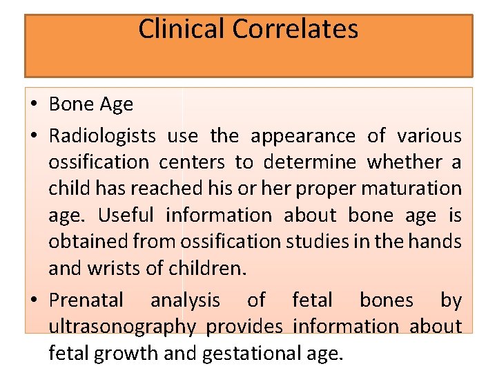 Clinical Correlates • Bone Age • Radiologists use the appearance of various ossification centers