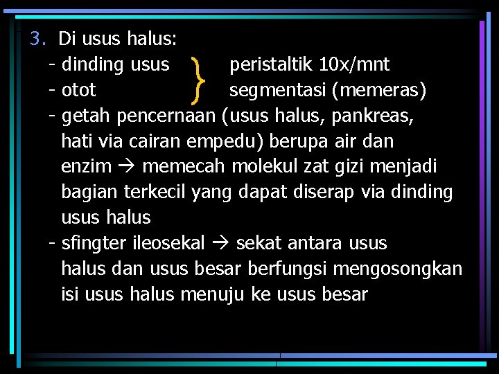 3. Di usus halus: - dinding usus peristaltik 10 x/mnt - otot segmentasi (memeras)