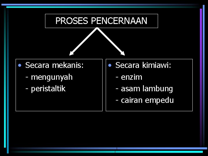 PROSES PENCERNAAN • Secara mekanis: - mengunyah - peristaltik • Secara kimiawi: - enzim