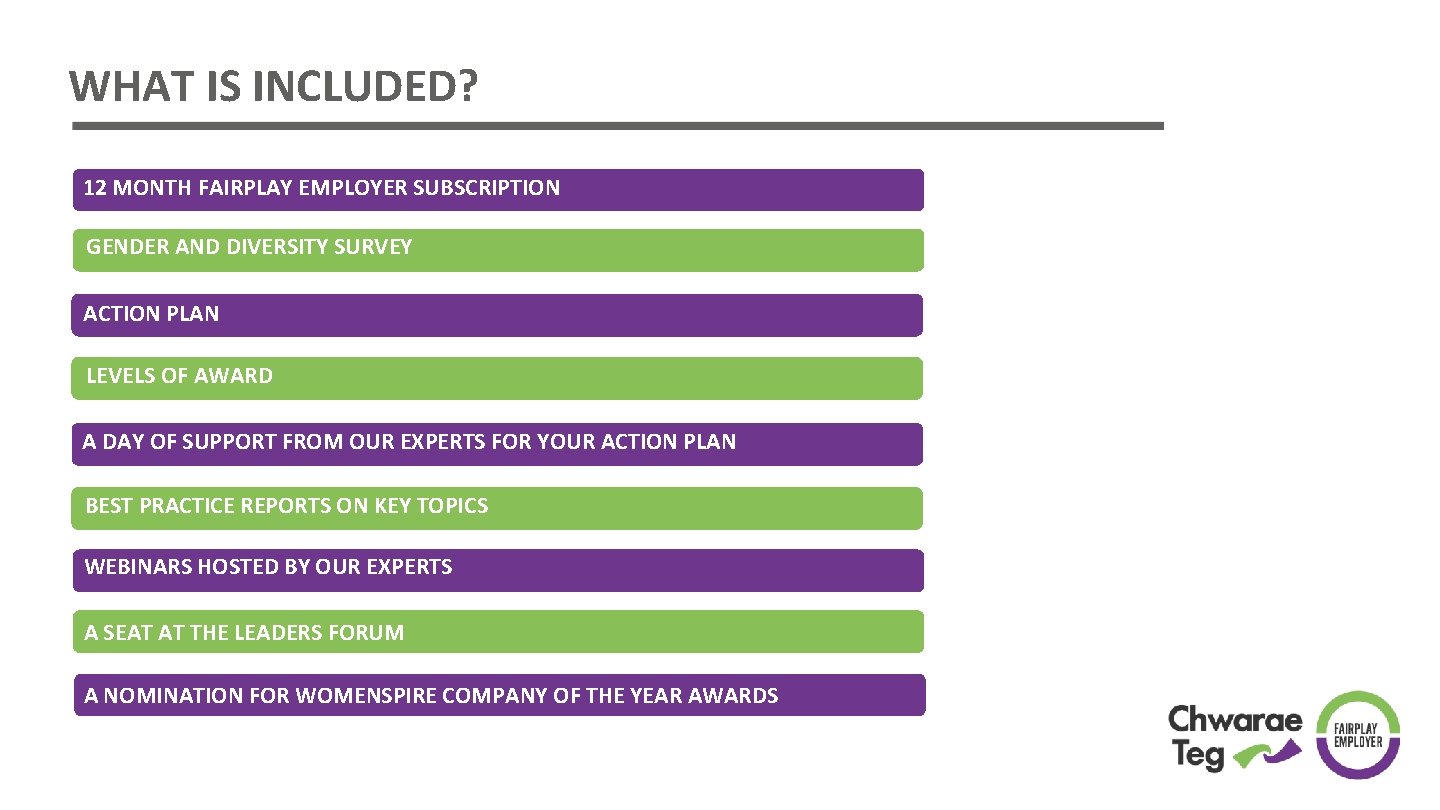 WHAT IS INCLUDED? 12 MONTH FAIRPLAY EMPLOYER SUBSCRIPTION GENDER AND DIVERSITY SURVEY ACTION PLAN