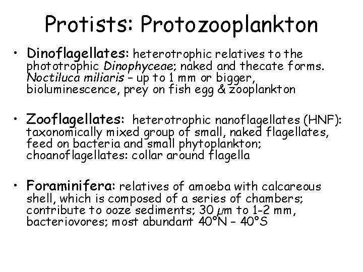 Protists: Protozooplankton • Dinoflagellates: heterotrophic relatives to the phototrophic Dinophyceae; naked and thecate forms.