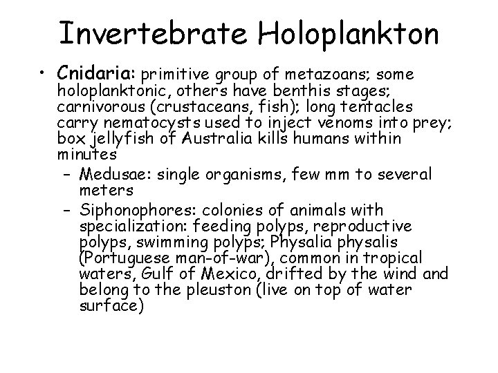 Invertebrate Holoplankton • Cnidaria: primitive group of metazoans; some holoplanktonic, others have benthis stages;