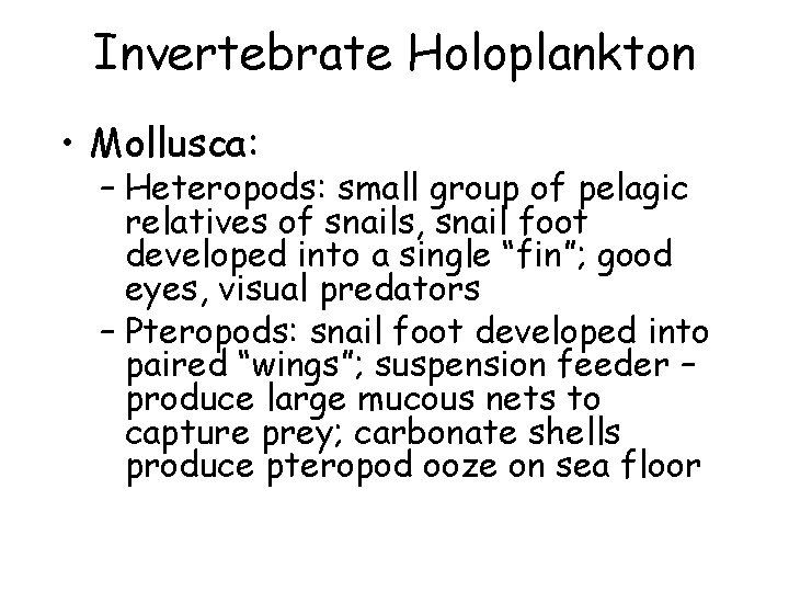 Invertebrate Holoplankton • Mollusca: – Heteropods: small group of pelagic relatives of snails, snail