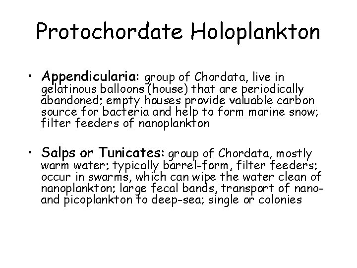Protochordate Holoplankton • Appendicularia: group of Chordata, live in gelatinous balloons (house) that are