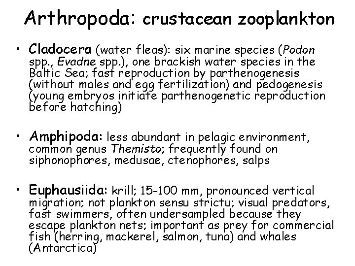 Arthropoda: crustacean zooplankton • Cladocera (water fleas): six marine species (Podon spp. , Evadne