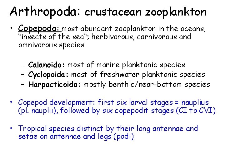Arthropoda: crustacean zooplankton • Copepoda: most abundant zooplankton in the oceans, “insects of the