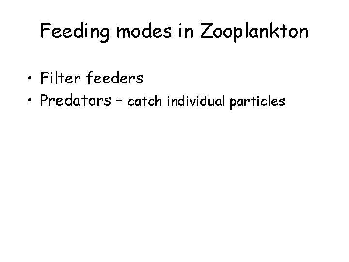 Feeding modes in Zooplankton • Filter feeders • Predators – catch individual particles 