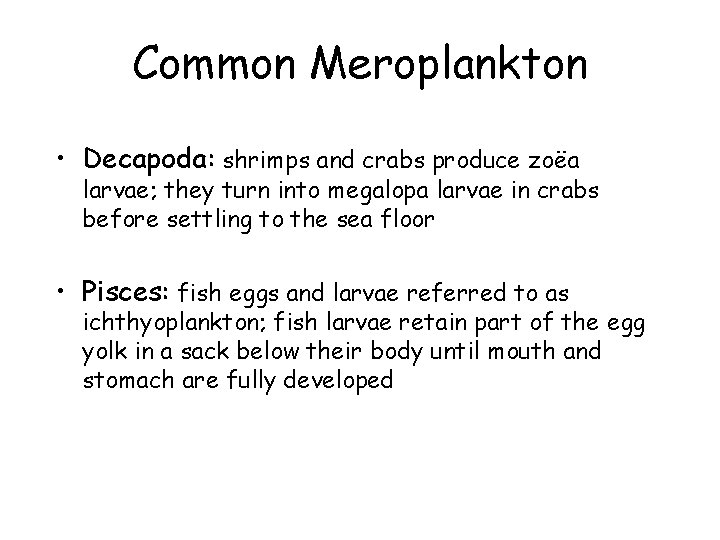 Common Meroplankton • Decapoda: shrimps and crabs produce zoëa larvae; they turn into megalopa