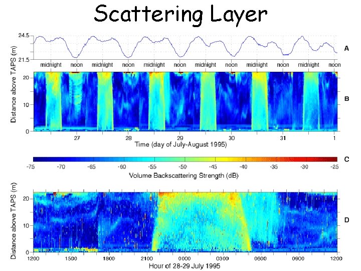 Scattering Layer 