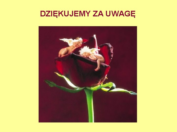 DZIĘKUJEMY ZA UWAGĘ 