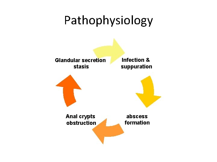 Pathophysiology Glandular secretion stasis Infection & suppuration Anal crypts obstruction abscess formation 