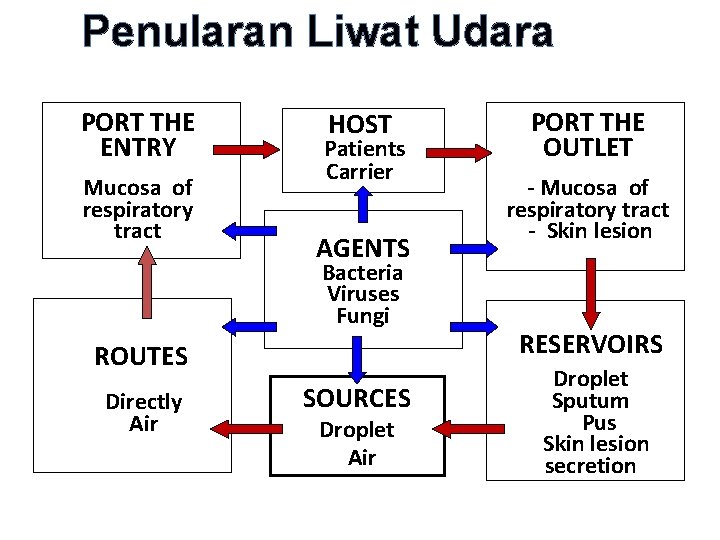 Penularan Liwat Udara PORT THE ENTRY Mucosa of respiratory tract HOST Patients Carrier AGENTS