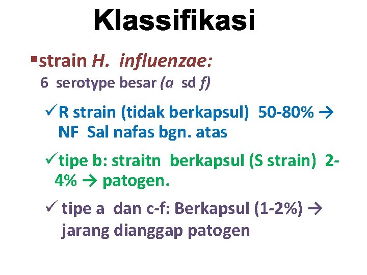 §strain H. influenzae: 6 serotype besar (a sd f) üR strain (tidak berkapsul) 50