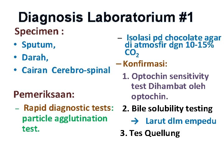 Diagnosis Laboratorium #1 Specimen : – Isolasi pd chocolate agar • Sputum, di atmosfir