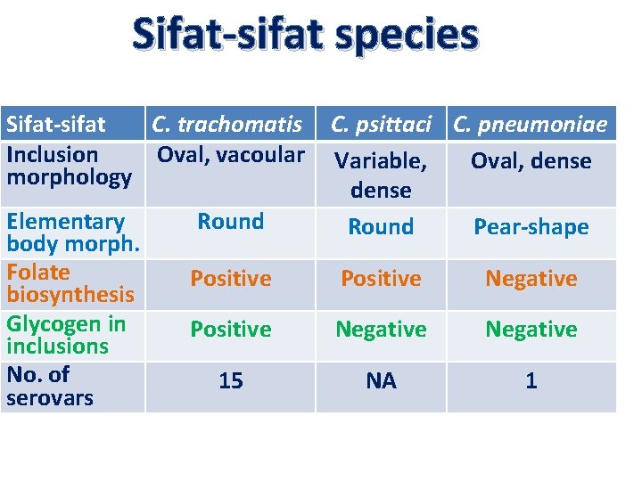 Sifat-sifat species Sifat-sifat C. trachomatis Inclusion Oval, vacoular morphology Elementary body morph. Folate biosynthesis