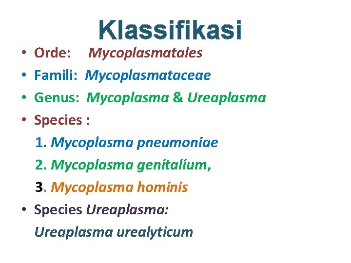 Klassifikasi Orde: Mycoplasmatales Famili: Mycoplasmataceae Genus: Mycoplasma & Ureaplasma Species : 1. Mycoplasma pneumoniae