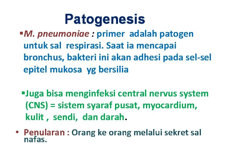 Patogenesis §M. pneumoniae : primer adalah patogen untuk sal respirasi. Saat ia mencapai bronchus,