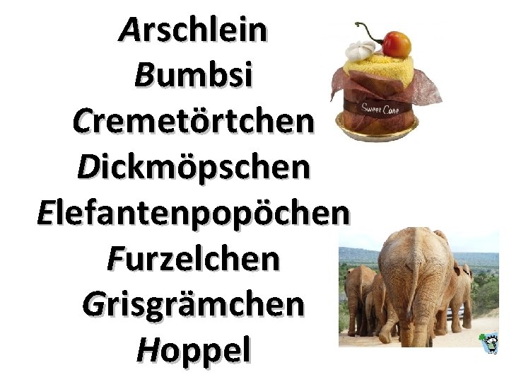 Arschlein Bumbsi Cremetörtchen Dickmöpschen Elefantenpopöchen Furzelchen Grisgrämchen Hoppel 