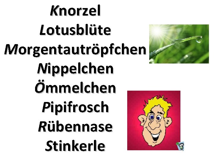 Knorzel Lotusblüte Morgentautröpfchen Nippelchen Ömmelchen Pipifrosch Rübennase Stinkerle 