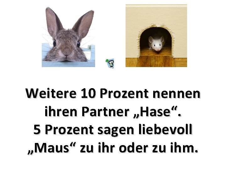 Weitere 10 Prozent nennen ihren Partner „Hase“. 5 Prozent sagen liebevoll „Maus“ zu ihr