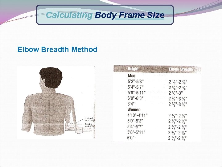 Calculating Body Frame Size Elbow Breadth Method 