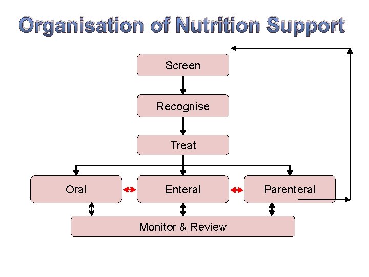 Organisation of Nutrition Support Screen Recognise Treat Oral Enteral Monitor & Review 3. NICE