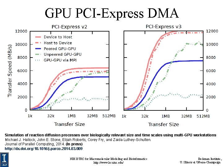 GPU PCI-Express DMA Simulation of reaction diffusion processes over biologically relevant size and time GPU PCI-Express DMA Simulation of reaction diffusion processes over biologically relevant size and time
