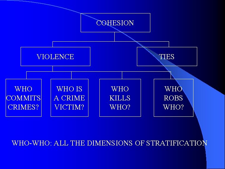 COHESION VIOLENCE WHO COMMITS CRIMES? WHO IS A CRIME VICTIM? TIES WHO KILLS WHO?