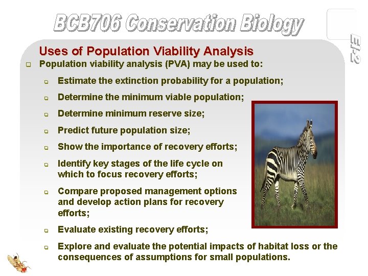 Uses of Population Viability Analysis q Population viability analysis (PVA) may be used to: