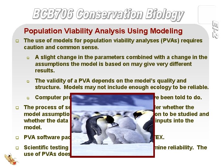Population Viability Analysis Using Modeling q The use of models for population viability analyses