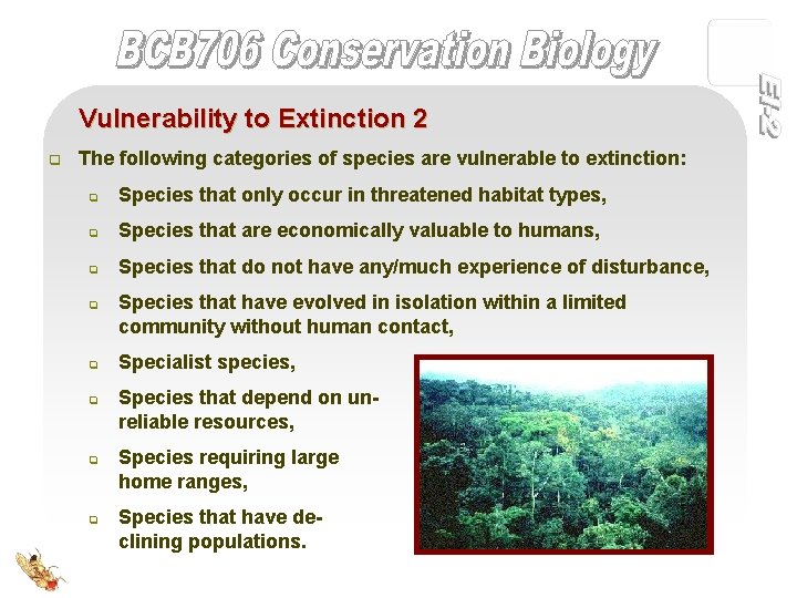 Vulnerability to Extinction 2 q The following categories of species are vulnerable to extinction: