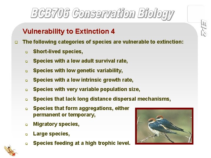 Vulnerability to Extinction 4 q The following categories of species are vulnerable to extinction: