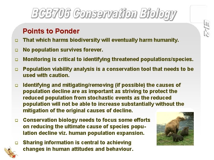 Points to Ponder q That which harms biodiversity will eventually harm humanity. q No