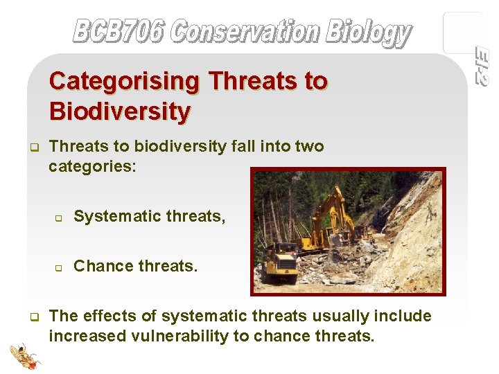 Categorising Threats to Biodiversity q q Threats to biodiversity fall into two categories: q