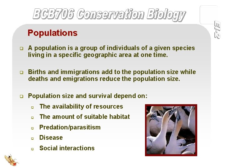 Populations q A population is a group of individuals of a given species living