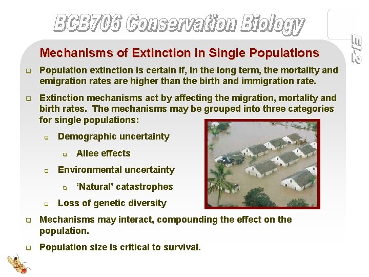 Mechanisms of Extinction in Single Populations q Population extinction is certain if, in the
