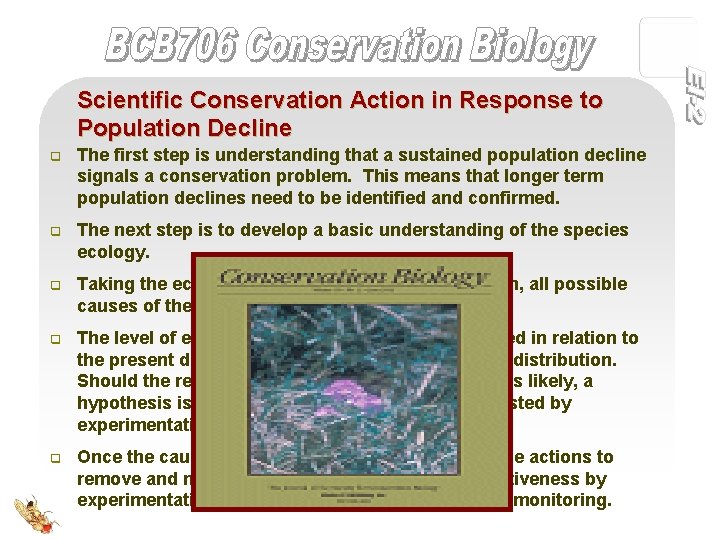 Scientific Conservation Action in Response to Population Decline q The first step is understanding